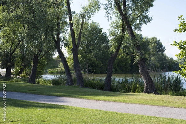 Obraz lago di Mantova