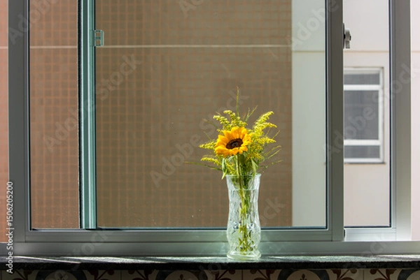 Fototapeta glass jar with a sunflower flower in the morning sunlight in apartment window overlooking another building