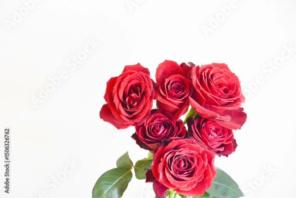 Fototapeta 赤いばら