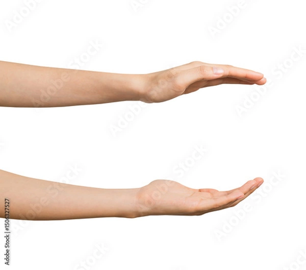 Fototapeta Hand is open and holding something isolated on white background.
