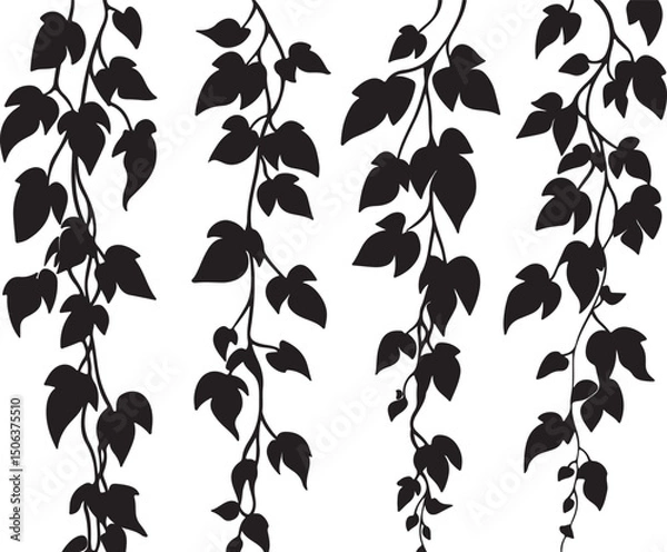Fototapeta Black Silhouette Ivy Vine Vector Art: Hanging Plant Leaves Illustration, Botanical Design Element