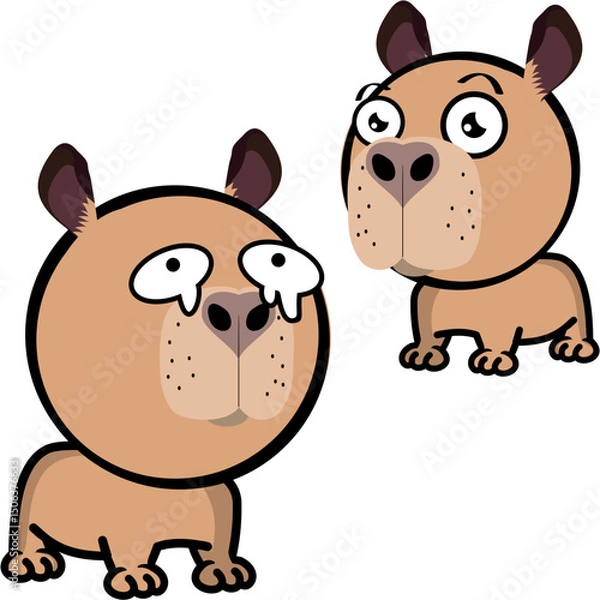 Fototapeta little capybara character cartoon expressions pack collection in vector art