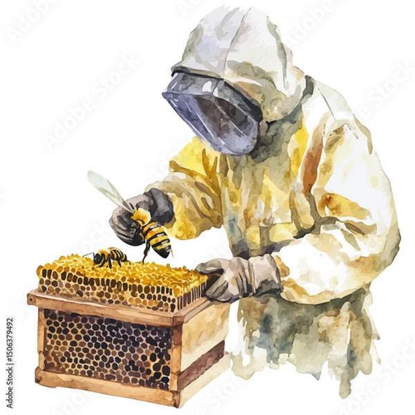 Fototapeta Beekeeper, watercolor drawing vector, high quality, isolated on a white background.