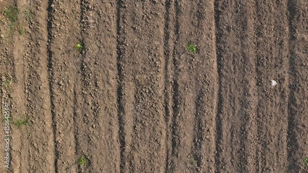 Obraz An aerial view captures the freshly plowed soil, meticulously turned and prepared for planting, offering a glimpse of the land's readiness to nurture new crops.
