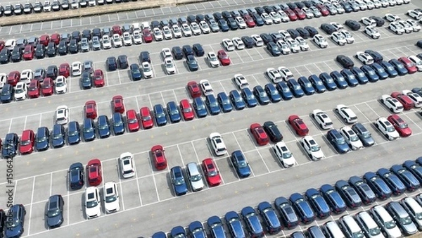 Fototapeta The vast, neatly arranged rows of cars exemplify the precision needed in managing large fleets, whether for dealership purposes or rental services, with an emphasis on order and accessibility.
