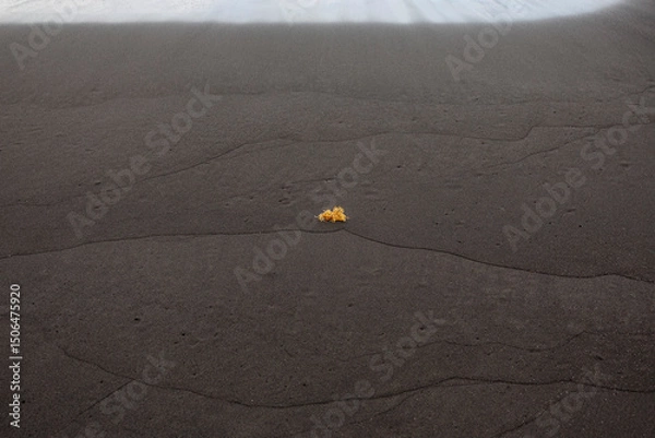 Fototapeta Smooth black volcanic sand with subtle wave-shaped lines, creating a minimal abstract texture useful for backgrounds or design purposes.