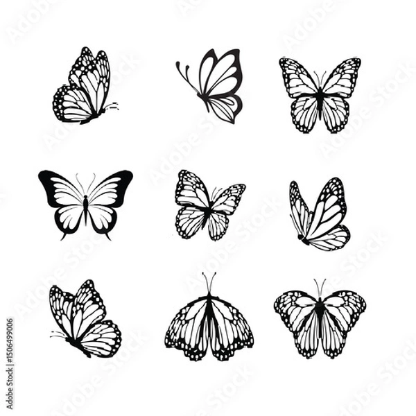 Obraz butterfly vector image  4