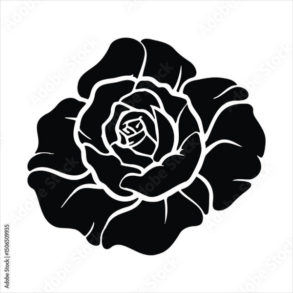 Obraz Black and white rose vector illustration on a black background