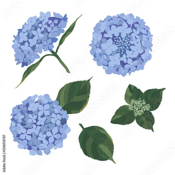 Obraz アジサイのイラスト素材	(青)