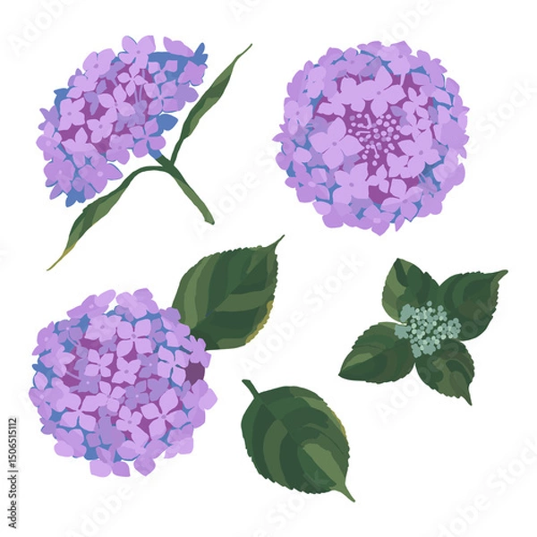 Obraz アジサイのイラスト素材	(ピンク)