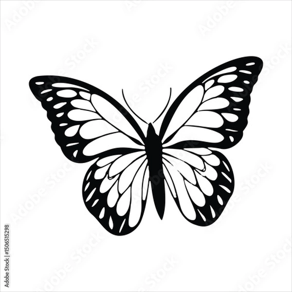 Obraz Black and white butterfly vector illustration flying with detailed wings and antenna