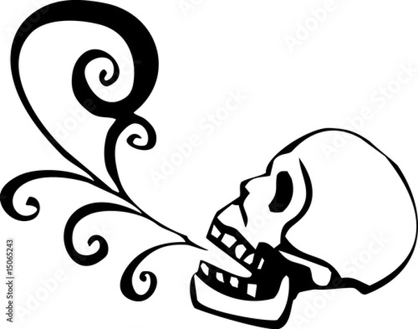 Obraz Singing Skull