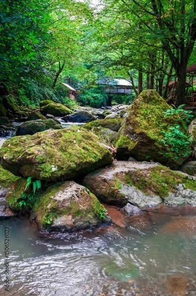 Fototapeta A serene river meanders through a vibrant forest, adorned with moss-covered rocks and a distant footbridge.