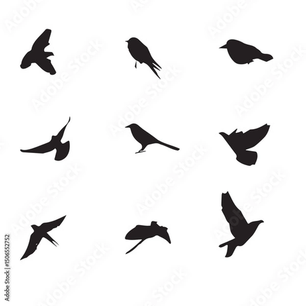 Obraz Flying Beautiful Birds Vector Set