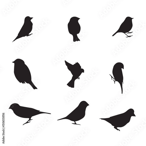 Obraz  Cute Birds Vector
