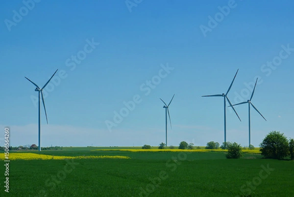 Fototapeta Wind Turbines in Green Field with Blue Sky - Renewable Energy Concept