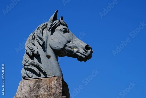 Obraz Statue têt cheval