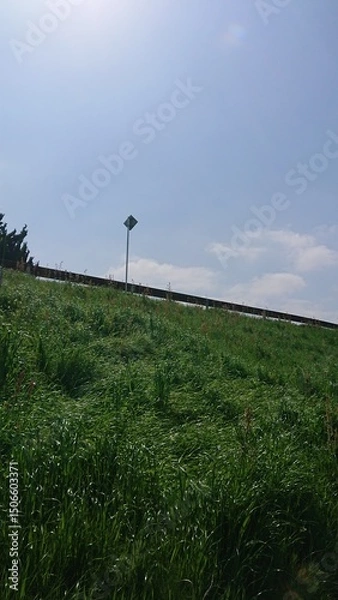 Obraz 青空と土手の草