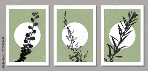Obraz Set of trendy minimalist botanical vector illustration with branch and leaves