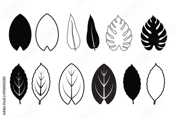Fototapeta Tropical palm leaves silhouette vector icon set with editable strokes on a transparent background.
