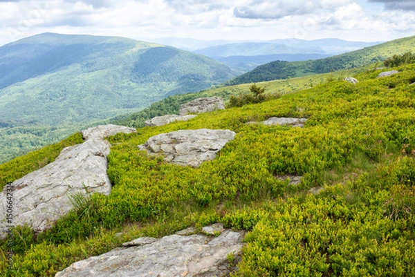 Fototapeta beautiful scenery of Carpathians in dappled light. distant valley. wonderful summer landscape in mountains on a cloudy day. scenic view from the slope of a hill. mountain smooth known as runa, ukraine