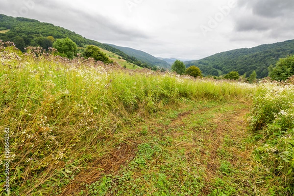 Fototapeta mountainous countryside on a cloudy day. grassy alpine slope. landscape with rural hay field on hill near the forest. village in the distant valley