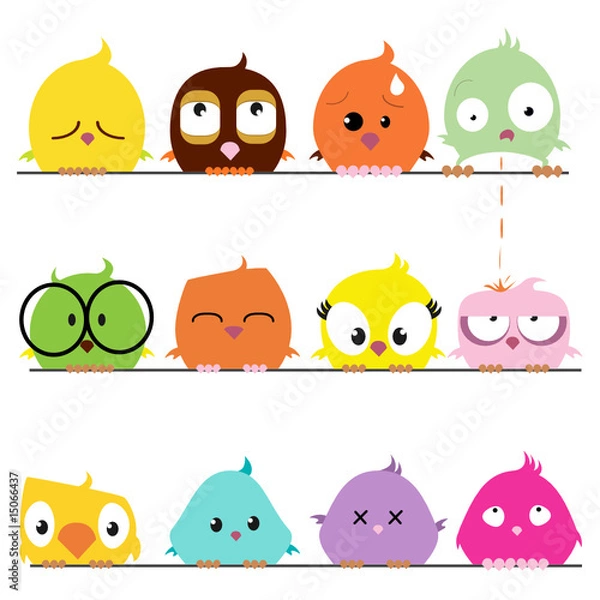 Fototapeta cartoon bird set