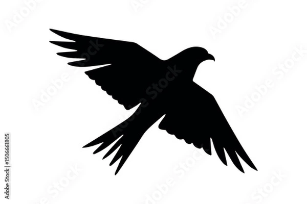 Fototapeta Elegant vector silhouette of a bird in full flight, evoking the power and freedom of an eagle On White Background