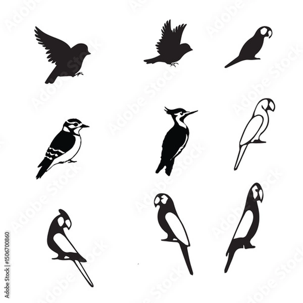 Obraz  Flying Birds Vector Set 