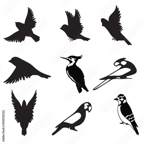 Obraz Black and White Birds Vector set 