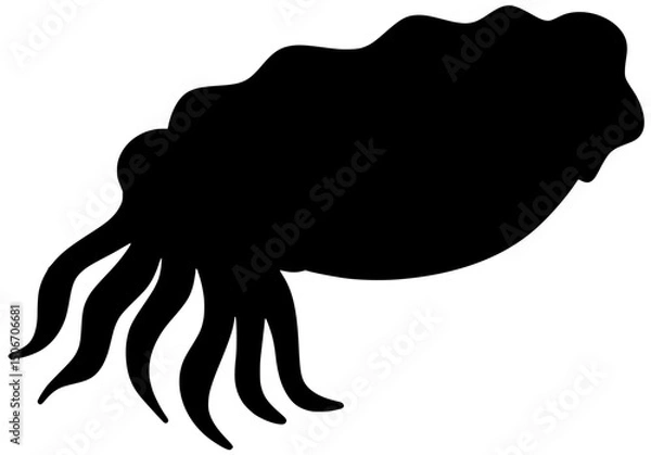 Fototapeta Cuttlefish Silhouette Shadow Vector