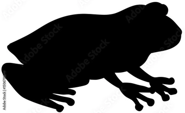 Fototapeta Coqui Frog Silhouette Shadow Vector