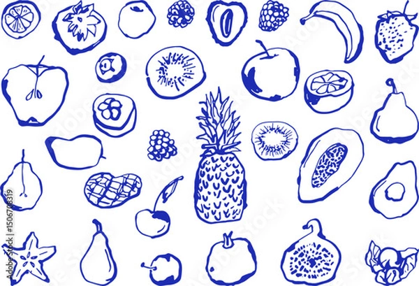 Obraz Hand drawn fruit illustration collection featuring a diverse selection of tropical and citrus produce
