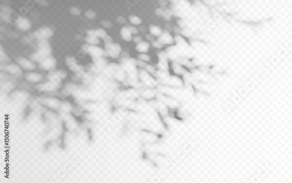 Fototapeta Shadow overlay from a tree branch isolated on a transparent background.