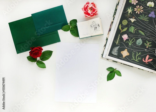 Obraz Mock-up with flower, botanical mockup