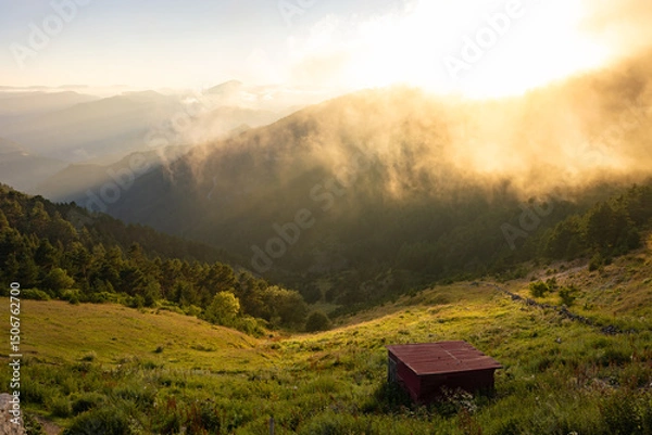 Obraz Landscape of the forest covered mountain range and valley with mist at sunset