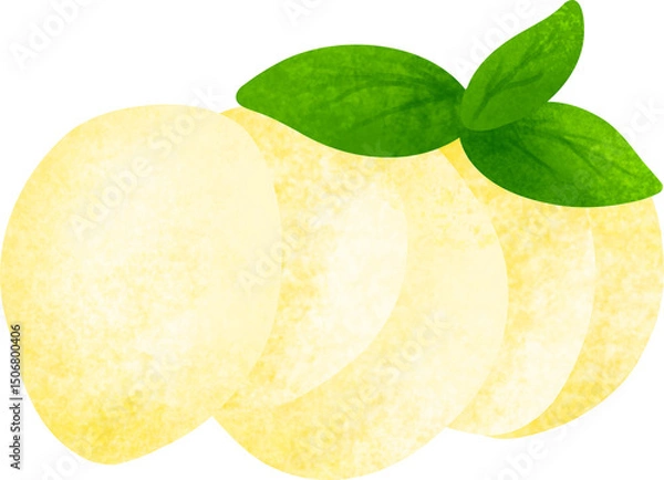Obraz Delicious mozzarella cheese illustration
