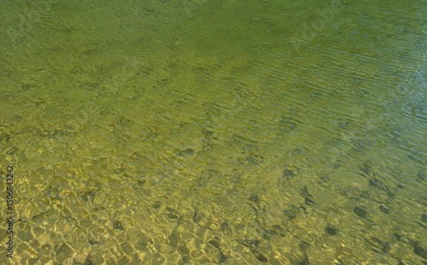 Fototapeta Water in a pond surface, ripple muddy water background