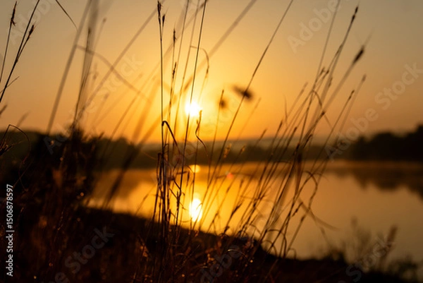 Obraz sunset on the lake