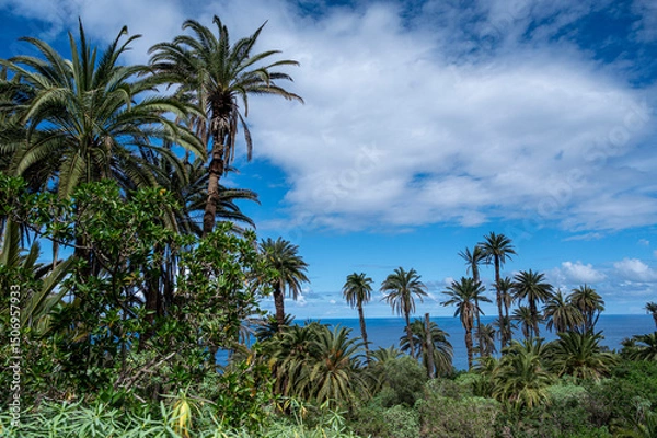 Obraz A lush green forest with palm trees and a blue ocean in the background. The sky is cloudy, but the sun is still shining through. The scene is peaceful and serene