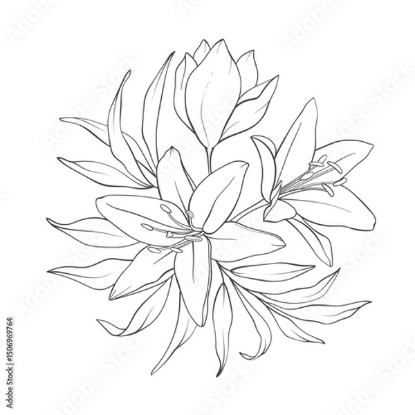 Fototapeta Elegant floral line art bouquet composition. Hand drawn delicate lily flowers and leaves in minimalist style for prints, wall decor, wedding invitations, greeting cards. Vector delicate illustration.