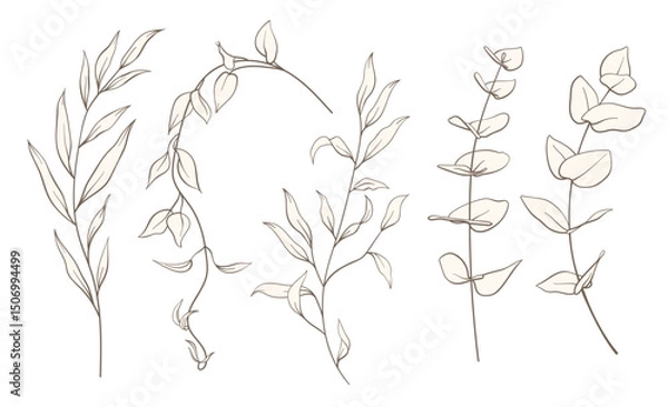 Fototapeta Set of wild plants, branches, leaves. Vintage minimal hand drawn floral sketch in line art style. Botanical element design for greeting cards, wedding invitations, birthday, tattoo, save the date