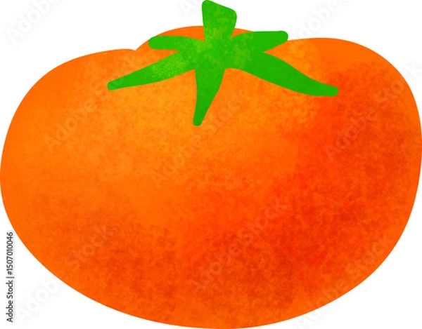 Obraz Pastel tomato vegetable illustration