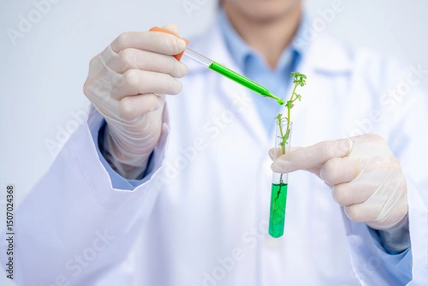 Fototapeta Female scientist working with test tubes in a laboratory, concept of scientific research and innovation