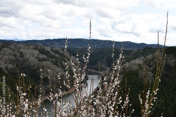 Fototapeta snow covered mountains