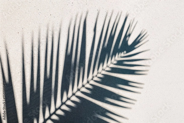Fototapeta Minimalist Boho Aesthetic: Palm leaf shadow overlay on sunlit textured neutral wall. Slow living summer vibe, organic background for serene design concepts. 