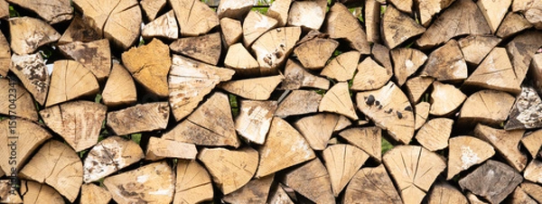 Obraz Stack of trees wooden stumps in cross section texture background banner