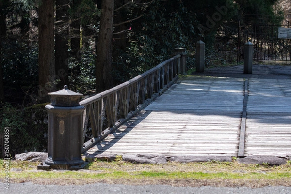 Fototapeta walking in the park
