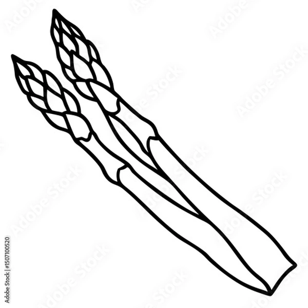 Fototapeta vector illustration of a branch