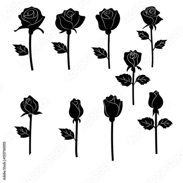 Fototapeta Set of black roses isolated flat vector spring summer flowers blooming stylized bloom